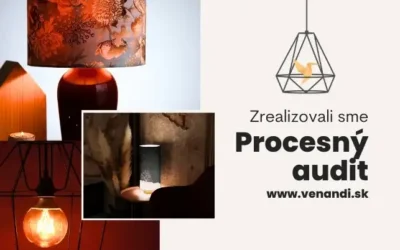 Procesný audit pre Venandi