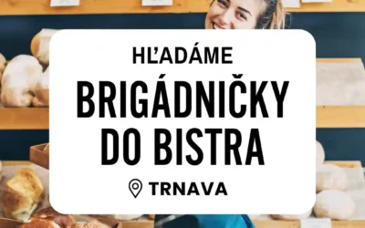 Hľadáme brigádničky